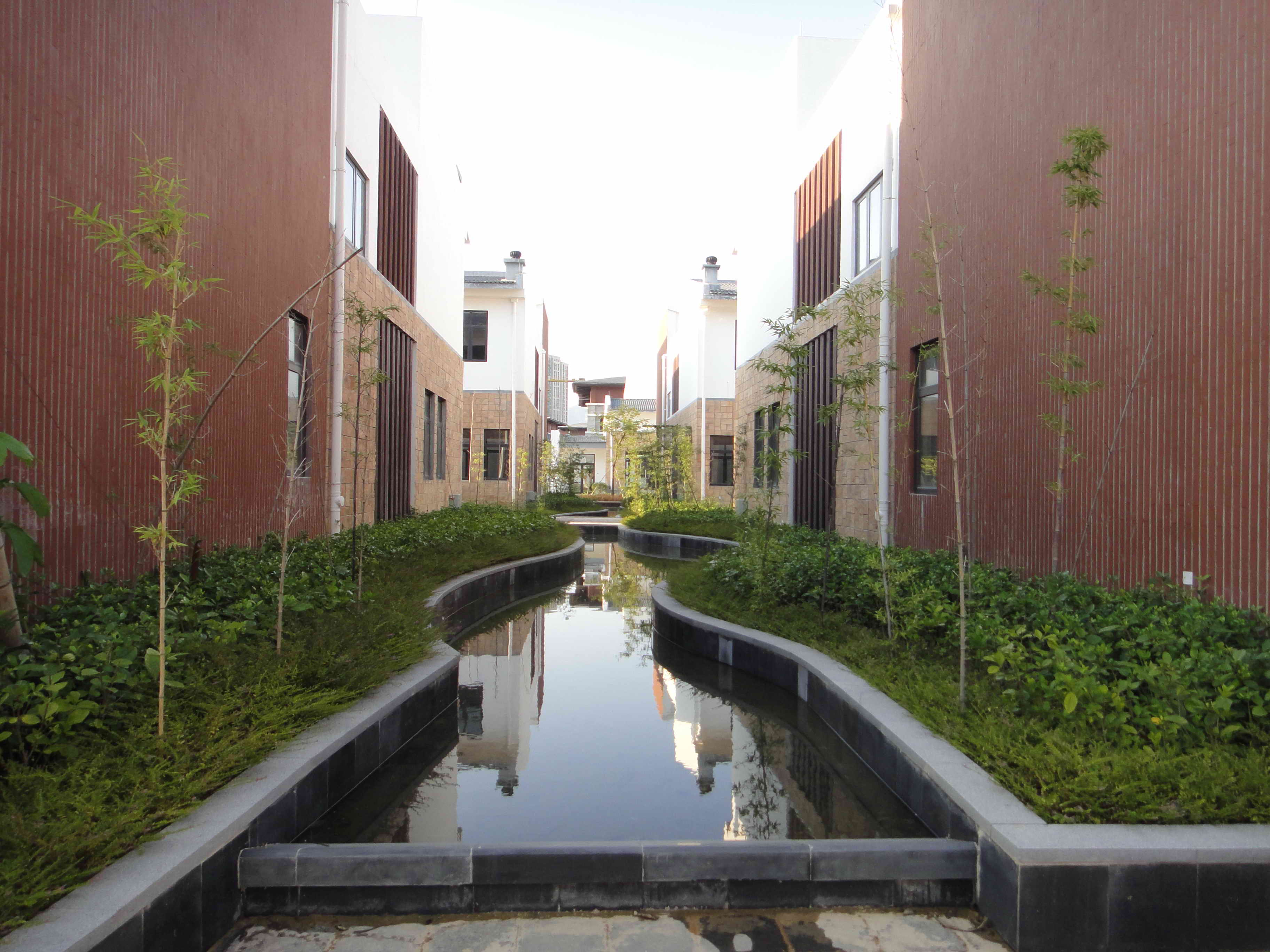DSC07254